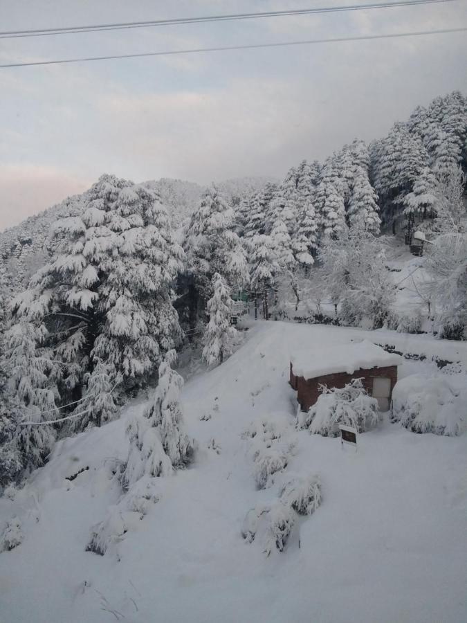Hotel Green Orchid Udhampur Kültér fotó