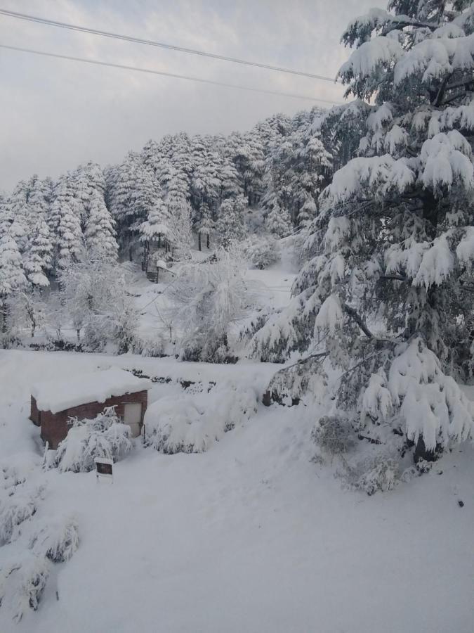 Hotel Green Orchid Udhampur Kültér fotó