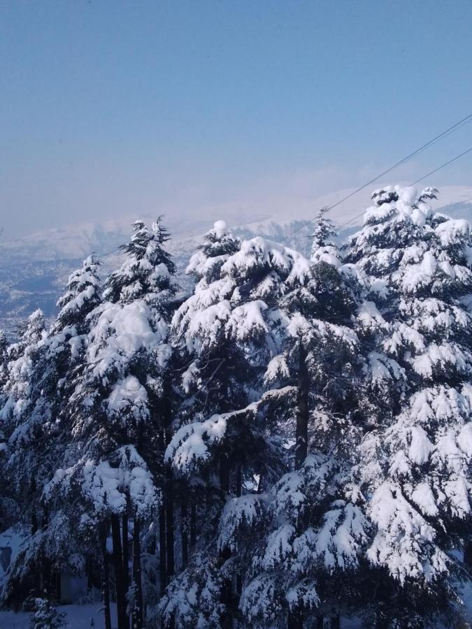 Hotel Green Orchid Udhampur Kültér fotó