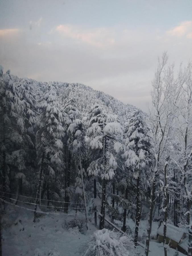 Hotel Green Orchid Udhampur Kültér fotó